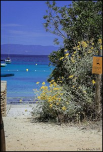 porquerolles-050614-1130g